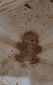 Vahuga vannipomm "Gingerbread Man" (3 foto / 3)