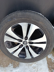 Valatud velgede komplekt R18 Kia Sportage'ile suverehvidega (4 foto / 10)