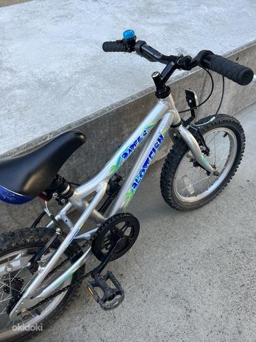 Dawes blowfish 2025 16