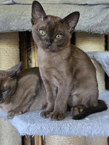 Burma