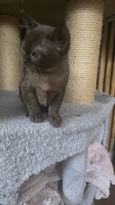 Бурма (2 фото из 3)