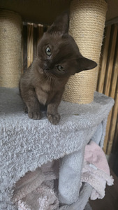 Бурма (3 фото из 3)