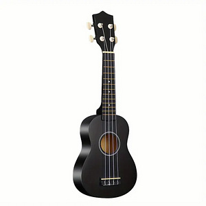 Ukulele + kott