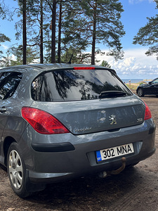 Peugeot 308 (13 foto / 15)