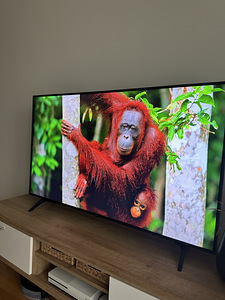 LG 55” teler (2 foto / 3)