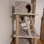 Новый домик для кошки / Uus kassimaja (фото #2)