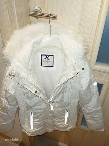 Зимняя куртка Jasper Conran (фото #10)