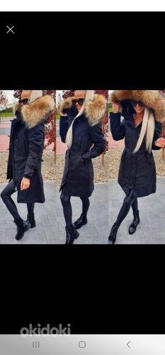 Talveparka