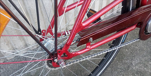 DBS Linna-cruiser mixte (6 foto / 10)