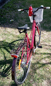 DBS Linna-cruiser mixte (3 foto / 10)