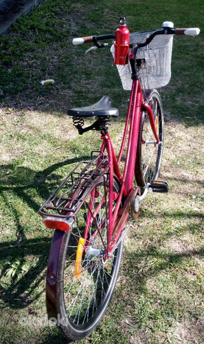 DBS Linna-cruiser mixte