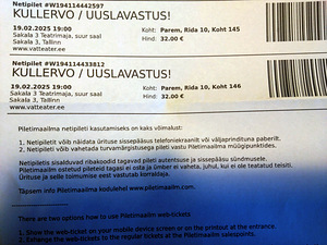 2 teatri piletit KULLERVO (1 foto / 1)