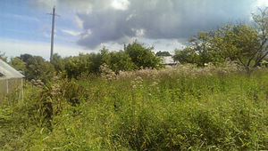Maatükk sillamäel (2 foto / 10)