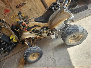 Quad 250cc