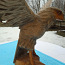 Продаю большого орла. Ширина крыла 71 см, высота 33 см. (фото #5)