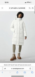 Canada goose sulejope (1 foto / 2)
