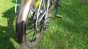 Trek Calypso de Lux raamil elektriratas 1000W (7 foto / 7)