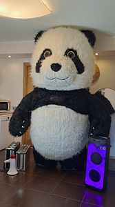 Panda animaator pidu – Sünnipäev, Juubel, Korporatiivüritus (2 foto / 3)