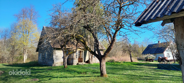 Загородный дом на окраине Соомаа (фото #1)