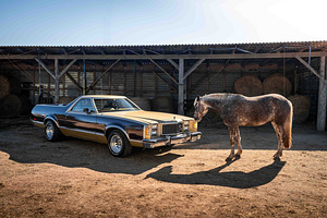 Ford Ranchero Brougham 6.6 V8 BigBlock 124kW (1 foto / 15)
