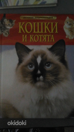 Детская энциклопедия Кошки и котята (фото #1)