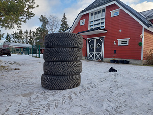 Winterpeak F-ICE (R17) naastrehvid (3 foto / 6)