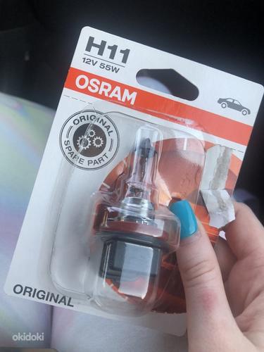 Uus H11 12V 55W Autolamp