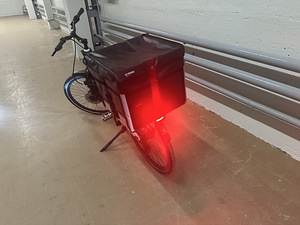 Elektrijalgrataste rent kulleritele EB4D (4 foto / 4)