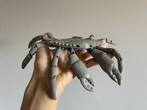 3D prinditud mänguasjad. 3D prinditud mänguasjad (3 foto / 9)