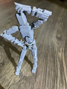 3D prinditud mänguasjad. 3D prinditud mänguasjad (7 foto / 9)