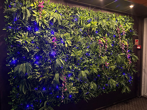 Vertikaalne aed-Fitowall/Fito sein-aed (1 foto / 2)