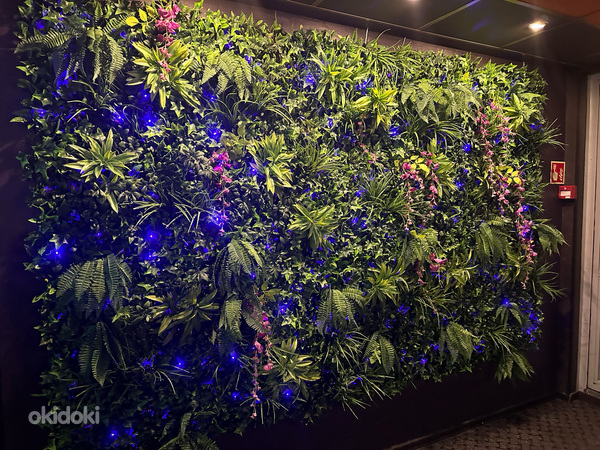 Vertikaalne aed-Fitowall/Fito sein-aed