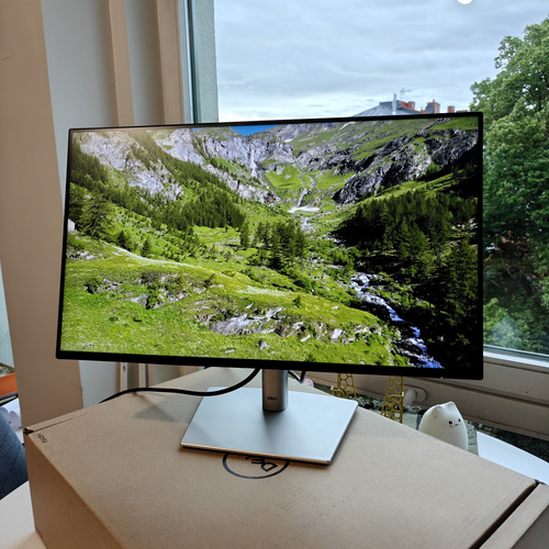 Dell P2425H (24", IPS, Full HD, 100 Hz)