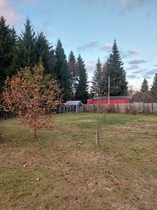Paju AÜ 23, Laitse, Saue vald, Harjumaa (7 фото из 24)