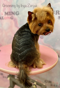 Grooming salon (2 foto / 9)