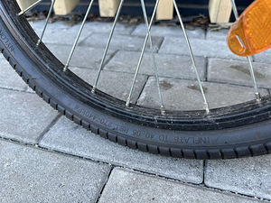 Jalgrattas 20" Maggie 1.0 (7 foto / 10)