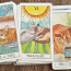 CAT TAROT | 78 CARDS AND GUIDEBOOK (foto #3)
