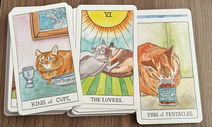 CAT TAROT | 78 CARDS AND GUIDEBOOK (3 foto / 3)