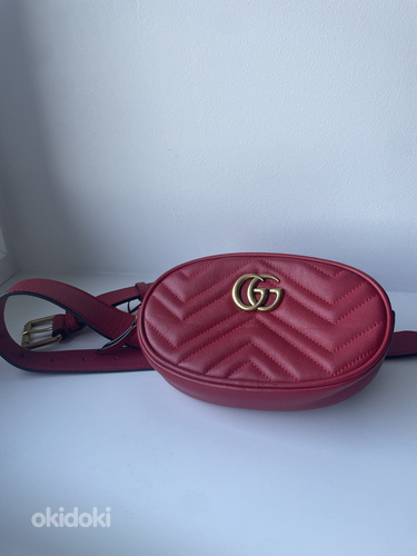 Gucci kott (foto #1)
