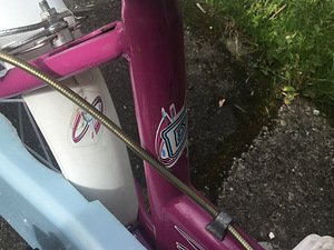 Laste jalgratas “Dino Bikes” 14’’ (8 foto / 10)