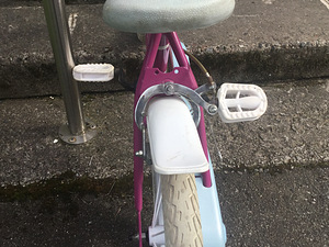 Laste jalgratas “Dino Bikes” 14’’ (10 foto / 10)