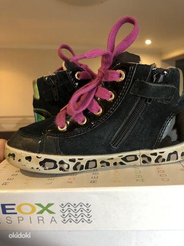 Geox кожаные в/о ботинки, размер 25 (фото #2)