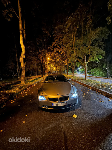 BMW 645Ci (фото #5)