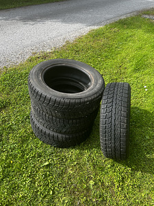 Bridgestone'i rehvid (3 foto / 4)