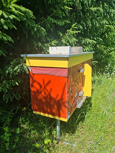 tarude müümine (2 foto / 3)