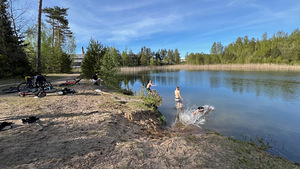 Põllu tn 8, Palivere, Lääne-Nigula vald, Läänemaa (6 foto / 9)