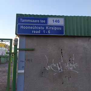 A. H. Tammsaare tee, Kristiine, Tallinn, Harjumaa (1 foto / 2)