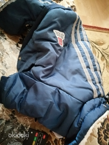 Müüa uus kostüüm väikesele koerale, suurus XL.