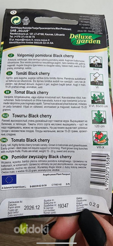 Kirsstomatid black cherry(viimased 4 tk) (foto #4)