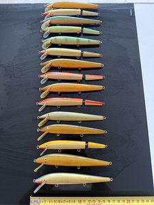 Landid voblerid (3 foto / 3)